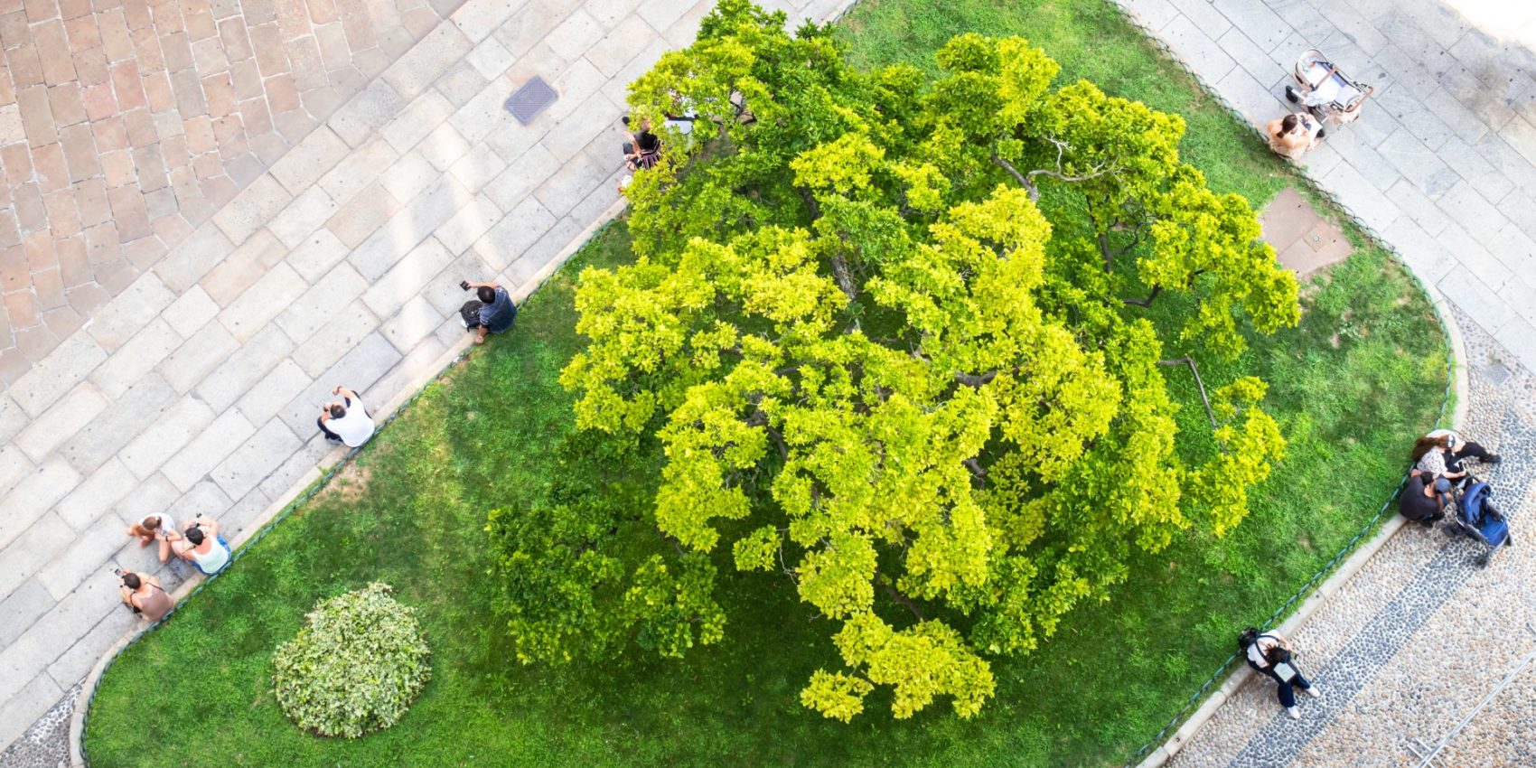 Biodiversität - mehr Grün in der Stadt