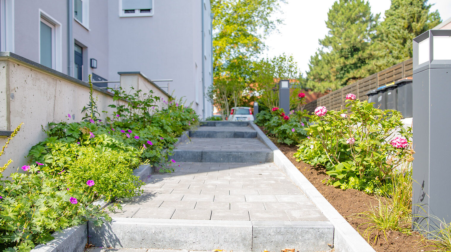 Pflastersteine reinigen