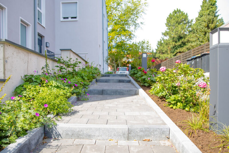 Pflastersteine reinigen