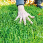 Rasenpflege nach Trockenheit – So regeneriert sich die Grünfläche nachhaltig